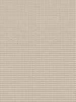 SANDY BEIGE