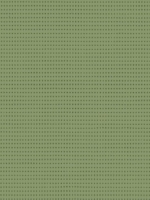 MOSS GREEN