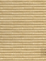 java-0300